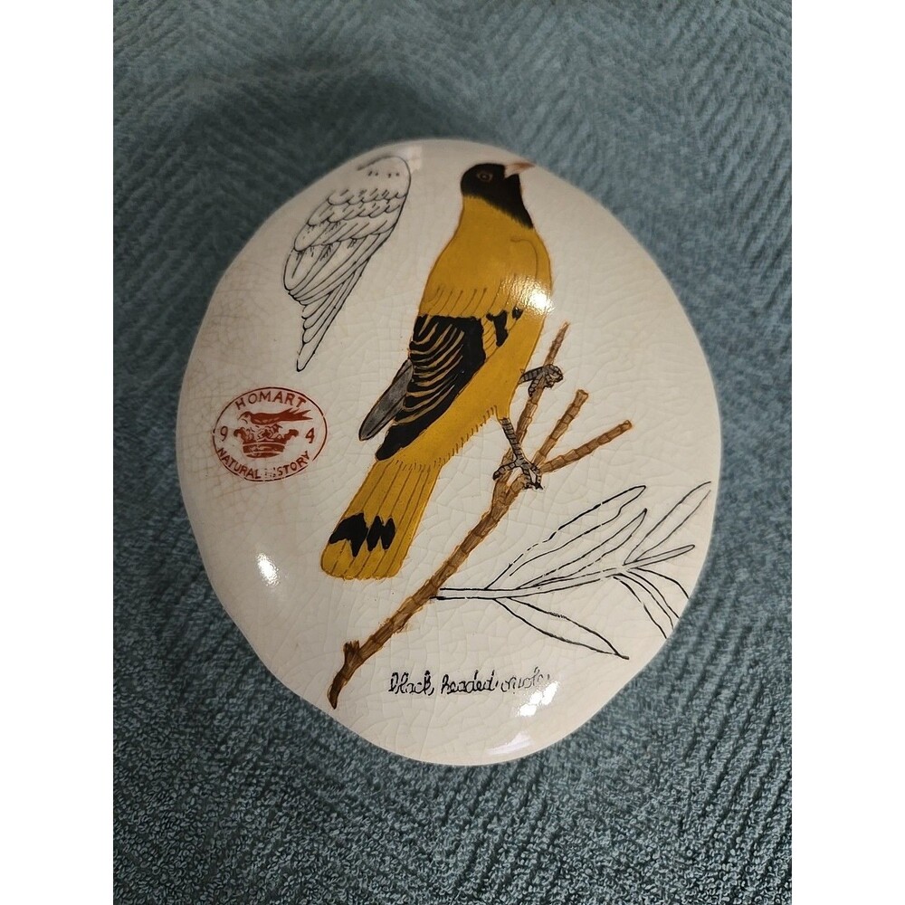 Vintage Homart Black Headed Oriole Natural History Ceramic Trinket Box